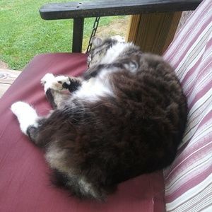 Meet your Posher, Kim